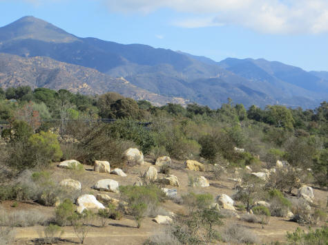 Santa Barbara Museums